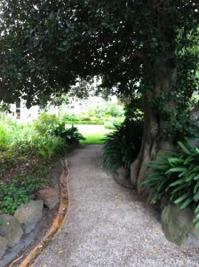 live breathe decor garden 3