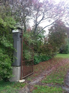 live breathe decor gothic house 1