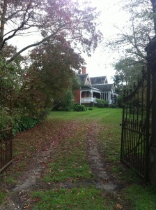 live breathe decor gothic house 2