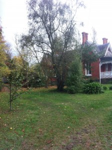 live breathe decor gothic house 3