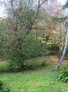 live breathe decor gothic house 6