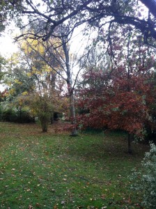 live breathe decor gothic house 7