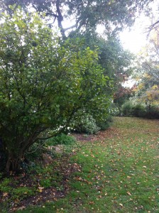 live breathe decor gothic house 8