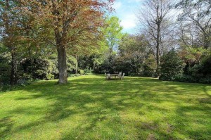 live breathe decor weekender lawn